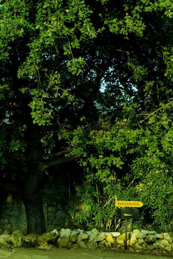 Le Cascatelle Villa Cerveteri Buitenkant foto