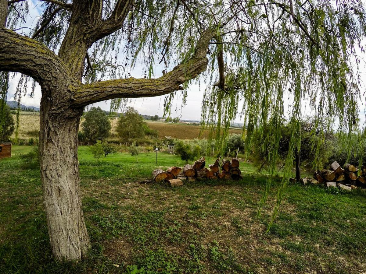 Le Cascatelle Villa Cerveteri Buitenkant foto